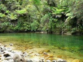 Abel Tasman River