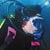 Dive Marlborough
