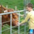 Altura Gardens and Wildlife Park
