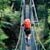 Rakiura Track
