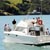 Akaroa Dolphins