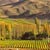 Appellation Central Wine Tours