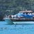 Akaroa Harbour Cruises