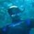 Tairua Dive and Fishinn