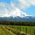 Taranaki Adventure Tours