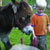 Wai ariki Farm Park, Cafe & Gallery