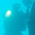 Dive North Bay of Islands