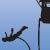 Ledge Urban Bungy