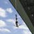Auckland Bridge Bungy