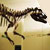 Auckland Museum