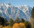 Queenstown’s Romantic Adventure Bandwagon