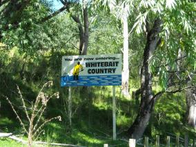 Awakino Whitebait Country