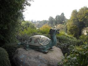 Bronze Dragon Turtle