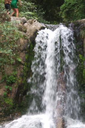 Coromandel Waterfall