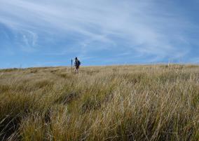 Day Hiker