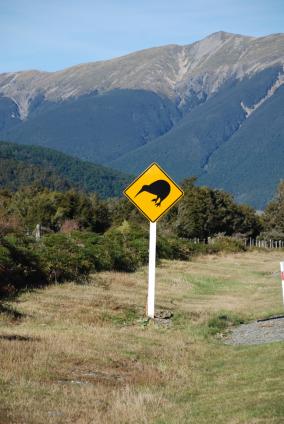 Kiwi Crossing Sign