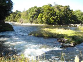 Waiwhakaiho Meeting of the Rivers