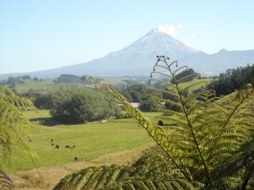 Mt Taranaki from Burgess Park hilltop