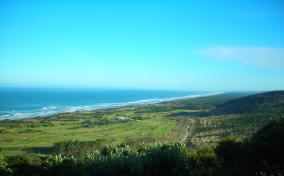 Muriwai Beach Landscape
