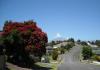 New Plymouth Summer