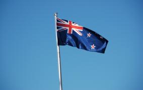 New Zealand Flag Large Image 2