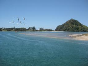 Pataua Estuary