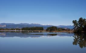 Rabbit Island Estuary