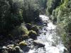 River Tongariro National Park
