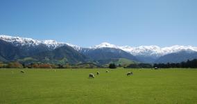 South Island Landscape