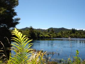 Te Waikoropupu Springs