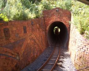 Driving Creek Railway Tunnel