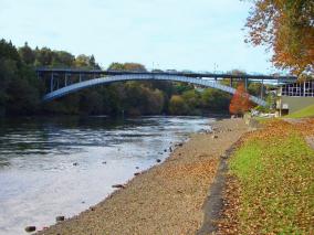 Victoria Street Bridge Autumn