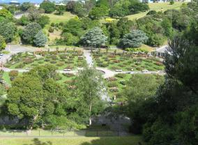 Lady Norwood Rose Garden