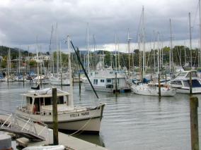 Whangarei Marina