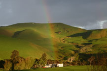 Rainbow Rainbow