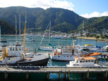 Picton