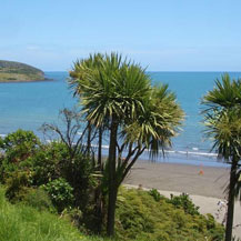 Raglan beach