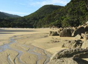 Abel Tasman Landscape