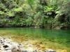 Abel Tasman River