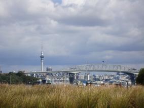 Auckland from Birkenhead