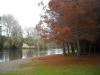 Autumn Waikato River