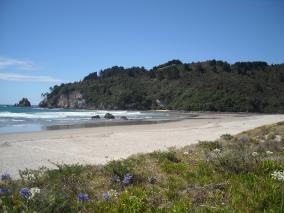 Beautiful Whangamata