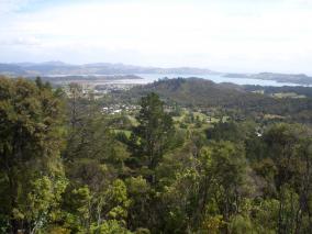 Coromandel Town