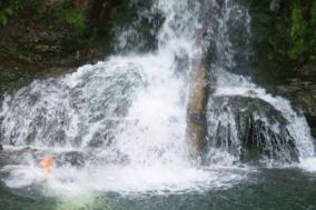 Diving into Waterfall Pool