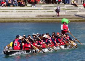 Wellington Dragon Boat Festival 2014