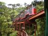 Driving Creek Railway  - Coromandel