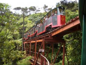 Driving Creek Railway  - Coromandel