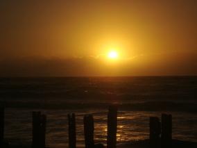 Evening Beauty