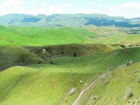 Hawkes Bay View