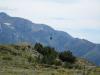 Helicopter Arrives at the top of Mt Fyffe